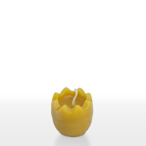 Половин яйце